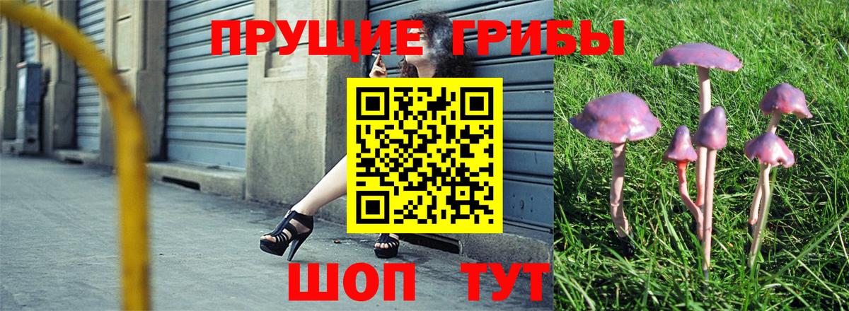 Галлюциногенные грибы ЛСД  Псилоцибиновые грибы мицелий  Вход с VPN  Тавда 