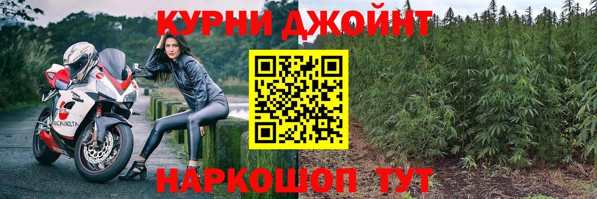 Бошки марихуана OG Kush  Вход с VPN  Тавда  Конопля OG Kush  Бошки Шишки конопля 